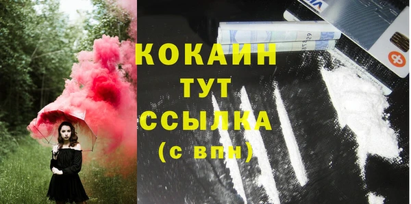гашик Аркадак
