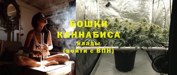 СК Арсеньев