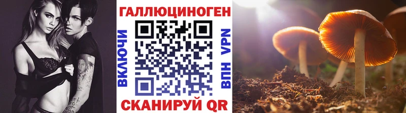 Галлюциногенные грибы GOLDEN TEACHER  Кировск 